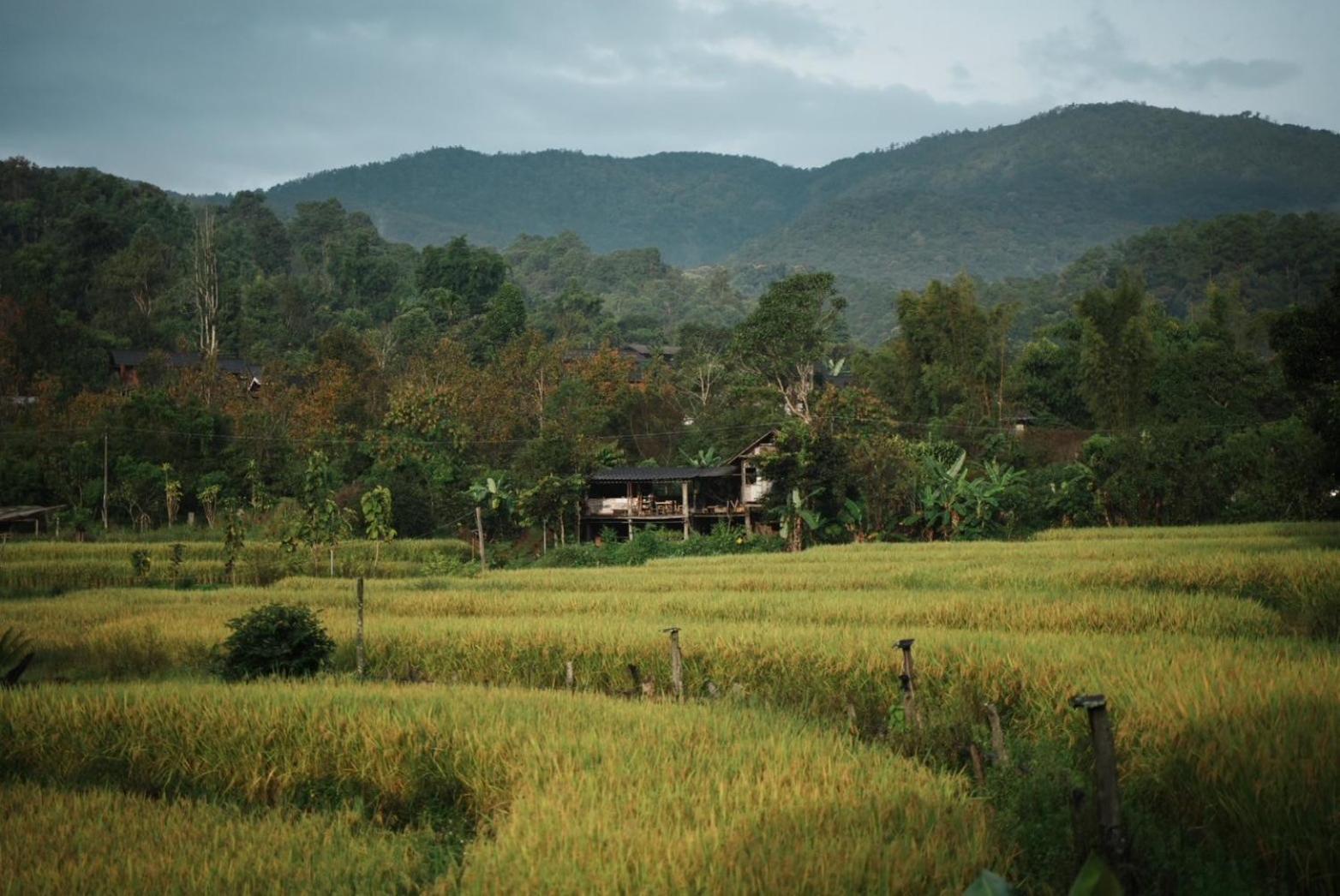 Hostel Por Joi ,Por Dee House Chiang Mai Exterior foto